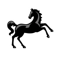 Client Logo 9